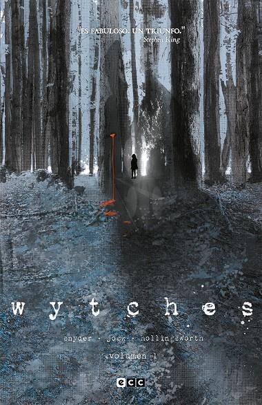 WYTCHES VOL.1 [CARTONE] | SNYDER, SCOTT | Akira Comics  - libreria donde comprar comics, juegos y libros online