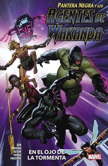 PANTERA NEGRA Y LOS AGENTES DE WAKANDA Nº01: EL OJO DE LA TORMENTA [RUSTICA] | MEDINA, LAN / ZUB, JIM | Akira Comics  - libreria donde comprar comics, juegos y libros online