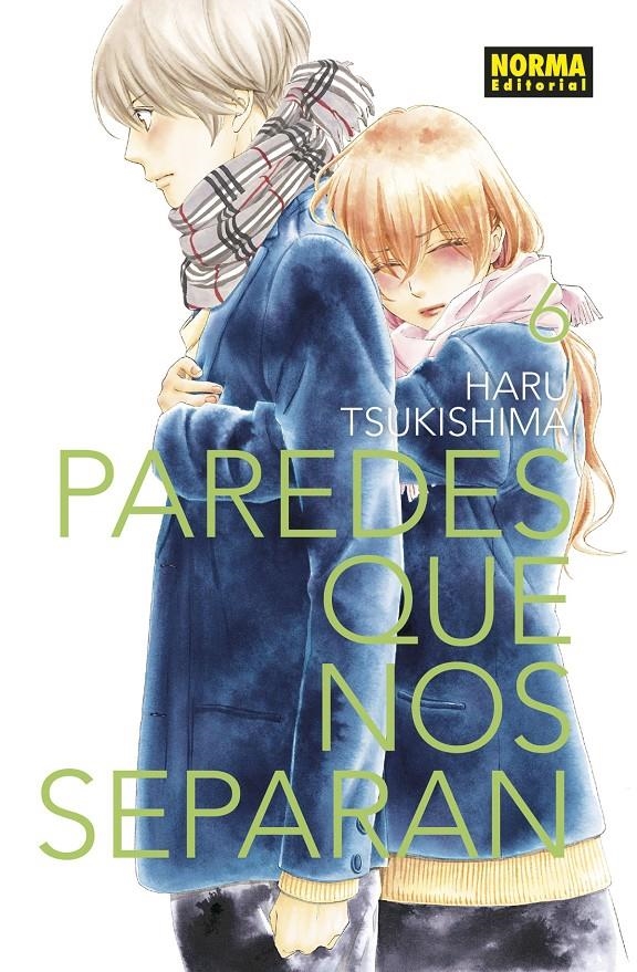 PAREDES QUE NOS SEPARAN Nº06 [RUSTICA] | TSUKISHIMA, HARU | Akira Comics  - libreria donde comprar comics, juegos y libros online