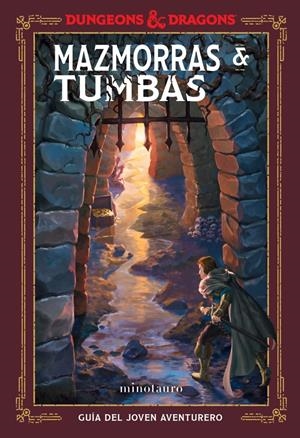 DUNGEONS & DRAGONS: MAZMORRAS & TUMBAS [CARTONE] | ZUB, JIM | Akira Comics  - libreria donde comprar comics, juegos y libros online