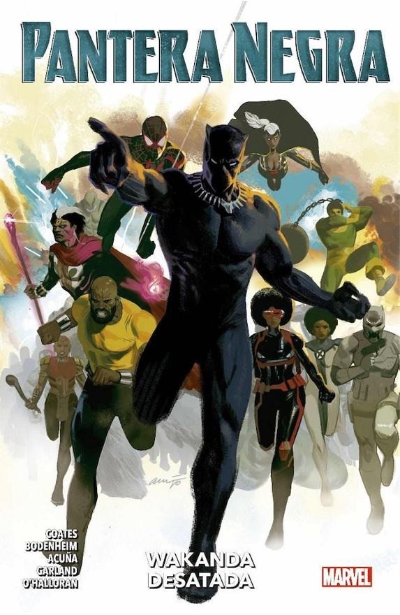 PANTERA NEGRA TOMO Nº04: WAKANDA DESATADA (COLECCION 100% MARVEL) [RUSTICA] | Akira Comics  - libreria donde comprar comics, juegos y libros online