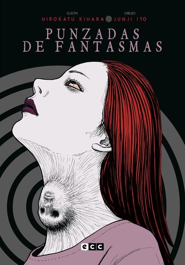 PUNZADAS DE FANTASMAS (EDICION FLEXIBOOK) [RUSTICA] | ITO, JUNJI / KIHARA | Akira Comics  - libreria donde comprar comics, juegos y libros online