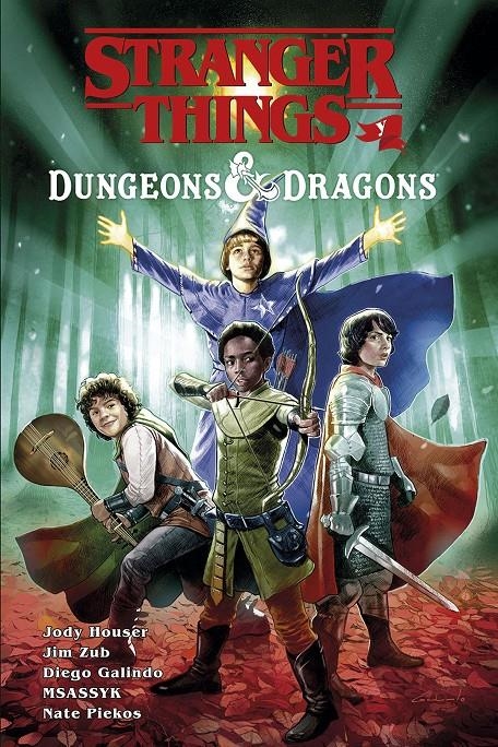 STRANGER THINGS Y DUNGEONS & DRAGONS [CARTONE] | HOUSER, JODY | Akira Comics  - libreria donde comprar comics, juegos y libros online