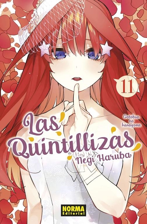 QUINTILLIZAS Nº11, LAS [RUSTICA] | HARUBA, NEGI | Akira Comics  - libreria donde comprar comics, juegos y libros online