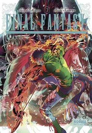 FINAL FANTASY LOST STRANGER Nº07 [RUSTICA] | MINASE, HAZUKI / KAMEYA, ITSUKI | Akira Comics  - libreria donde comprar comics, juegos y libros online