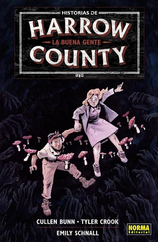 HISTORIAS DE HARROW COUNTY VOL.2: LA BUENA GENTE [RUSTICA] | BUNN, CULLEN | Akira Comics  - libreria donde comprar comics, juegos y libros online