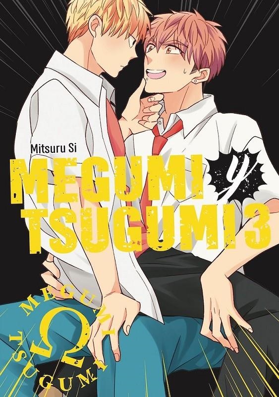 MEGUMI Y TSUGUMI Nº03 [RUSTICA] | SI, MITSURU | Akira Comics  - libreria donde comprar comics, juegos y libros online