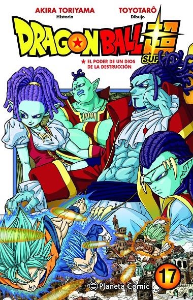 DRAGON BALL SUPER TOMO 17: EL PODER DE UN DIOS DE LA DESTRUCCION [RUSTICA] | TORIYAMA, AKIRA | Akira Comics  - libreria donde comprar comics, juegos y libros online