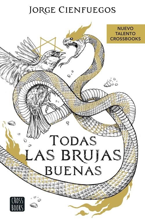 TODAS LAS BRUJAS BUENAS [RUSTICA] | CIENFUEGOS, JORGE | Akira Comics  - libreria donde comprar comics, juegos y libros online