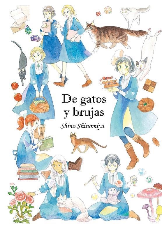 DE GATOS Y BRUJAS (TOMO UNICO) [RUSTICA] | SHINOMIYA, SHINO | Akira Comics  - libreria donde comprar comics, juegos y libros online