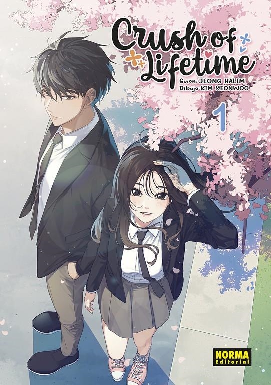 CRUSH OF LIFETIME Nº01 [RUSTICA] | JEONG, HALIM / KIM, YEONWOO | Akira Comics  - libreria donde comprar comics, juegos y libros online