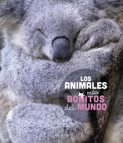 ANIMALES MAS BONITOS DEL MUNDO, LOS [CARTONE] | LEDU, STEPHANIE | Akira Comics  - libreria donde comprar comics, juegos y libros online
