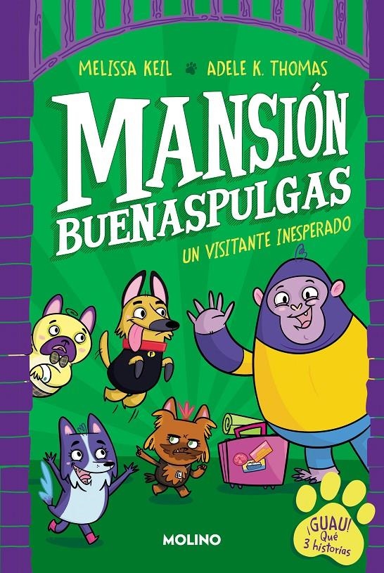 MANSION BUENASPULGAS Nº1: UN VISITANTE INESPERADO [CARTONE] | KEIL, MELISSA | Akira Comics  - libreria donde comprar comics, juegos y libros online