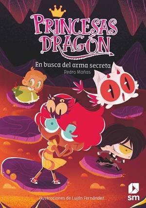 PRINCESAS DRAGON Nº13: EN BUSCA DEL ARMA SECRETA [RUSTICA | MAÑAS, PEDRO / FERNANDEZ, LUJAN | Akira Comics  - libreria donde comprar comics, juegos y libros online