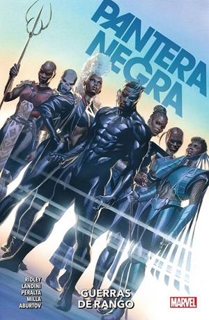 PANTERA NEGRA VOL.02: GUERRAS DE RANGO [RUSTICA] | Akira Comics  - libreria donde comprar comics, juegos y libros online