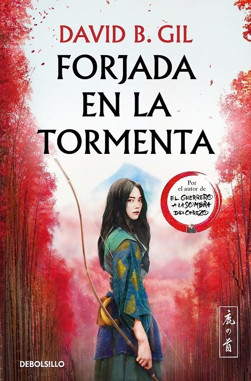 FORJADA EN LA TORMENTA [BOLSILLO] | GIL, DAVID B. | Akira Comics  - libreria donde comprar comics, juegos y libros online