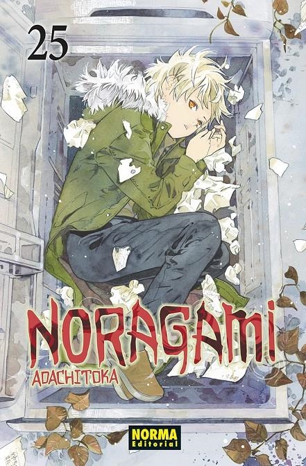 NORAGAMI Nº25 [RUSTICA] | ADACHITOKA | Akira Comics  - libreria donde comprar comics, juegos y libros online