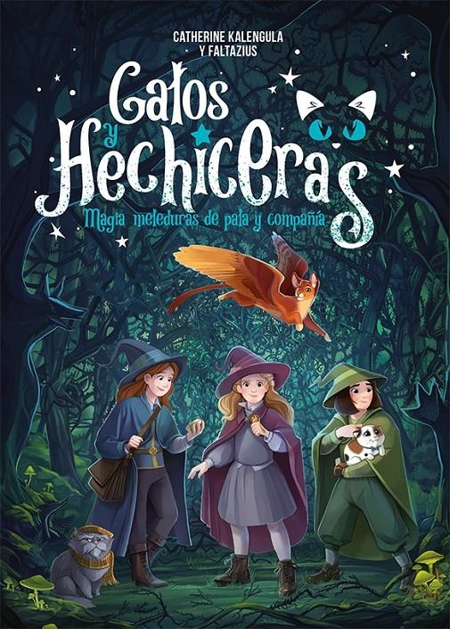 GATOS Y HECHICERAS Nº1: MAGIA, METEDURAS DE PATA Y COMPAÑIA [CARTONE] | KALENGULA, CATHERINE / FALTAZIUS | Akira Comics  - libreria donde comprar comics, juegos y libros online