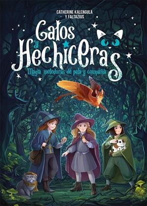 GATOS Y HECHICERAS Nº01: MAGIA, METEDURAS DE PATA Y COMPAÑIA [CARTONE] | KALENGULA, CATHERINE / FALTAZIUS | Akira Comics  - libreria donde comprar comics, juegos y libros online