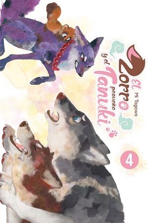 ZORRO Y EL PEQUEÑO TANUKI, EL Nº4 [RUSTICA] | TAGAWA, MI | Akira Comics  - libreria donde comprar comics, juegos y libros online