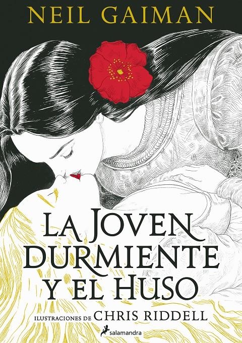 JOVEN DURMIENTE Y EL HUSO, LA [RUSTICA] | GAIMAN, NEIL / RIDDELL, CHRIS | Akira Comics  - libreria donde comprar comics, juegos y libros online