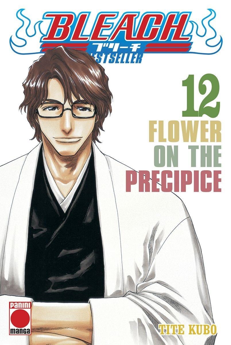 BLEACH BESTSELLER Nº12 [RUSTICA] | KUBO, TITE | Akira Comics  - libreria donde comprar comics, juegos y libros online