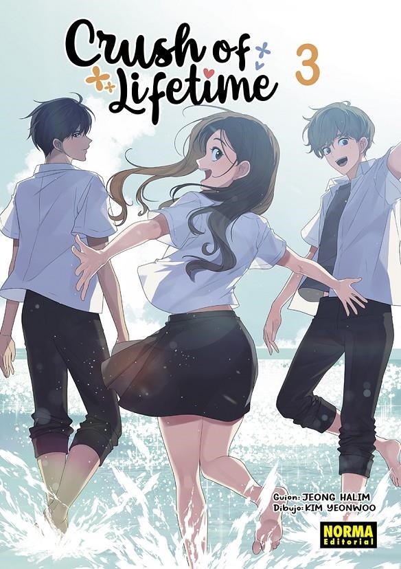 CRUSH OF LIFETIME Nº03 [RUSTICA] | JEONG, HALIM / KIM, YEONWOO | Akira Comics  - libreria donde comprar comics, juegos y libros online
