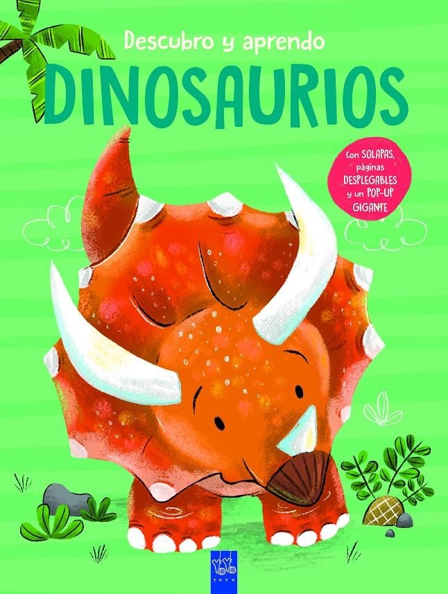 DESCUBRO Y APRENDO: DINOSAURIOS [CARTONE] | Akira Comics  - libreria donde comprar comics, juegos y libros online