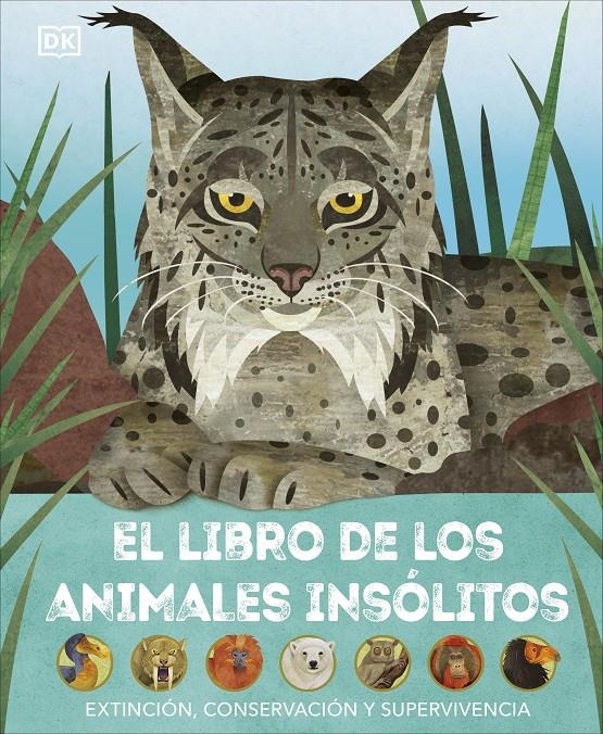 LIBRO DE LOS ANIMALES INSOLITOS, EL [CARTONE] | Akira Comics  - libreria donde comprar comics, juegos y libros online