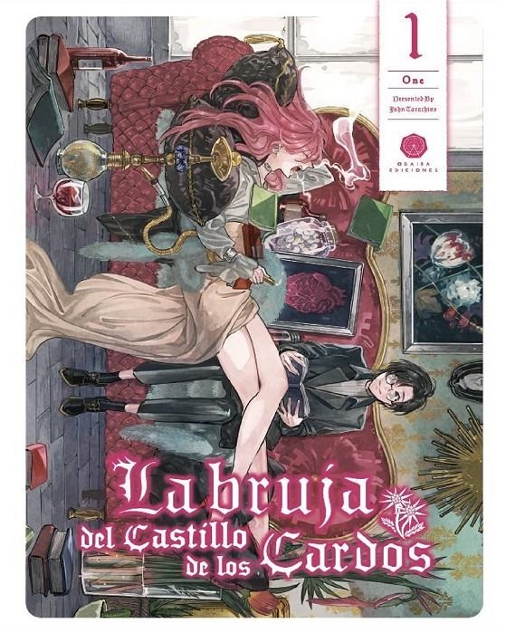 BRUJA DEL CASTILLO DE LOS CARDOS, LA Nº 1 [RUSTICA] | TARACHINE, JOHN | Akira Comics  - libreria donde comprar comics, juegos y libros online