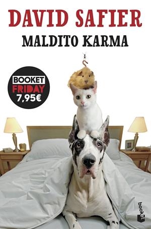 MALDITO KARMA [BOLSILLO] | SAFIER, DAVID | Akira Comics  - libreria donde comprar comics, juegos y libros online
