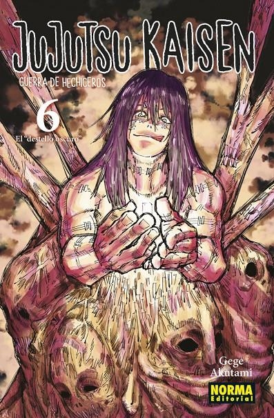 JUJUTSU KAISEN Nº06 (GUERRA DE HECHICEROS) REEDICION [RUSTICA] | AKUTAMI, GEGE | Akira Comics  - libreria donde comprar comics, juegos y libros online