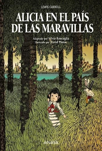 ALICIA EN EL PAIS DE LAS MARAVILLAS [CARTONE] | CARROLL, LEWIS / PINTOR, DAVID | Akira Comics  - libreria donde comprar comics, juegos y libros online