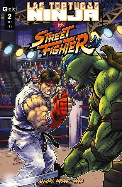 TORTUGAS NINJA VS. STREET FIGHTER Nº02 (2 DE 5) [GRAPA] | ALLOR, PAUL | Akira Comics  - libreria donde comprar comics, juegos y libros online
