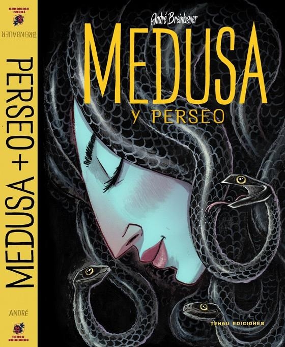 MEDUSA Y PERSEO [CARTONE] | BREINBAUER, ANDRE | Akira Comics  - libreria donde comprar comics, juegos y libros online