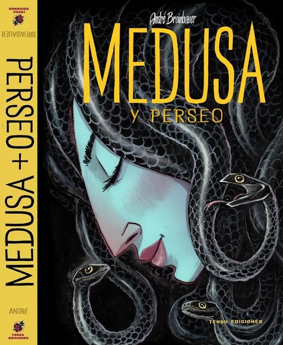 MEDUSA Y PERSEO [CARTONE] | BREINBAUER, ANDRÉ | Akira Comics  - libreria donde comprar comics, juegos y libros online