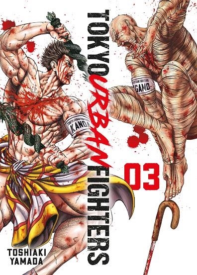 TOKYO URBAN FIGHTERS Nº03 [RUSTICA] | YAMADA, TOSHIAKI | Akira Comics  - libreria donde comprar comics, juegos y libros online