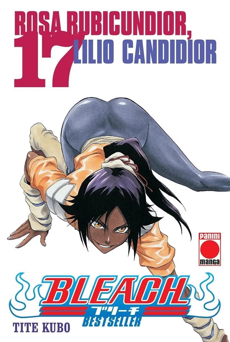 BLEACH BESTSELLER Nº17 [RUSTICA] | KUBO, TITE | Akira Comics  - libreria donde comprar comics, juegos y libros online
