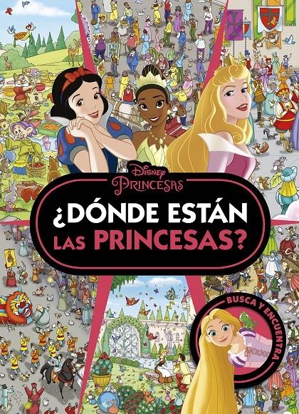 DISNEY PRINCESAS: ¿DONDE ESTAN LAS PRINCESAS? [CARTONE] | Akira Comics  - libreria donde comprar comics, juegos y libros online