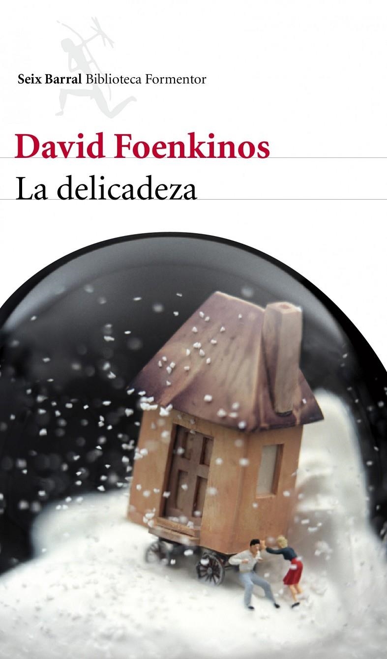 DELICADEZA, LA [RUSTICA] | FOENKINOS, DAVID | Akira Comics  - libreria donde comprar comics, juegos y libros online