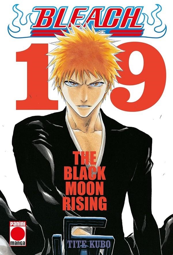 BLEACH BESTSELLER Nº19 [RUSTICA] | KUBO, TITE | Akira Comics  - libreria donde comprar comics, juegos y libros online